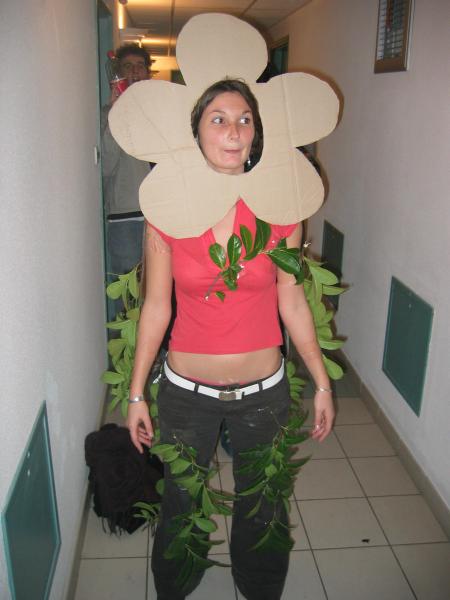 celia en plante